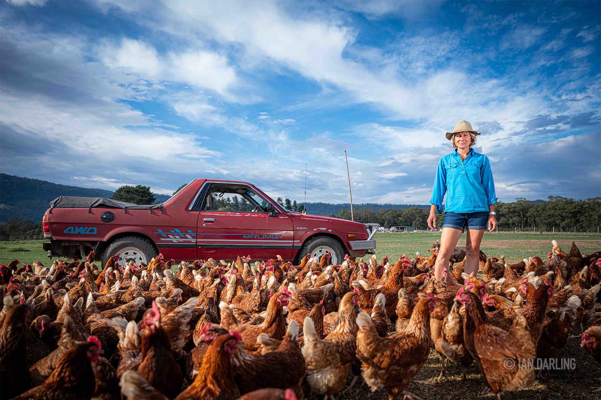 © Ian Darling 2025 © Ian Darling 2025