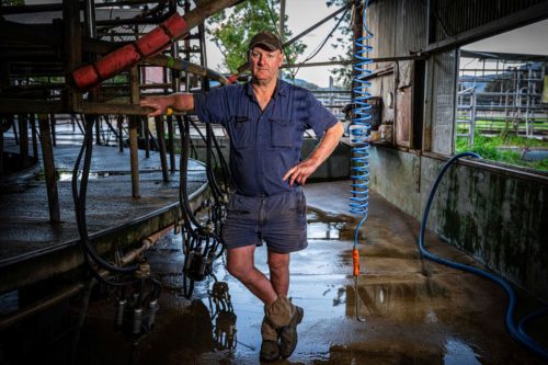 The Dairy Farmer — Graeme Cochrane
